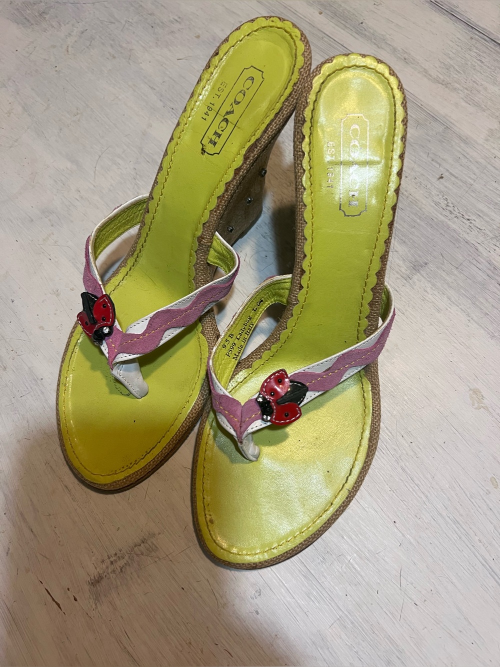 Coach Vintage Limited Edition Spring Ladybug